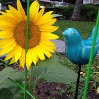 Cindy Colley Photo 7