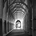 Robert Tynes Photo 14