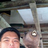 Wei Pang Photo 6