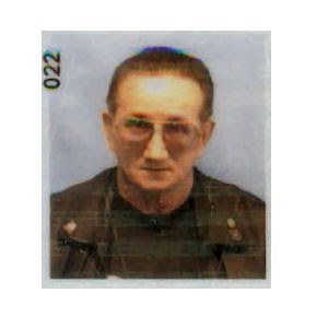 Ted Zimmerman Photo 10