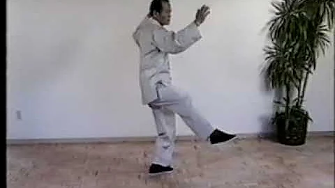 Benjamin Chi Photo 18