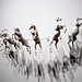 Christopher Cutts Photo 30