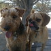 Bonny Bailey Photo 19