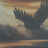 John Kalman Photo 3