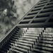 Scott Wolken Photo 15