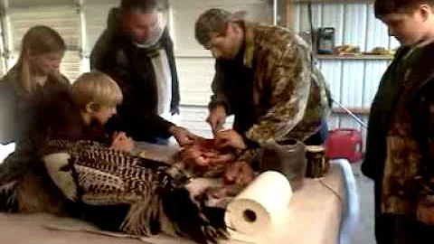 Paul Gutting Photo 7