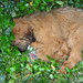 Heidi Berger Photo 41