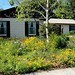 Karin Elliott Photo 23