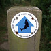 Neil Gunn Photo 22