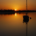 Dawn Beaulieu Photo 20