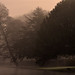 Russell Kent Photo 36