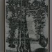 Bruce Feld Photo 16