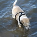 Rick Morel Photo 24