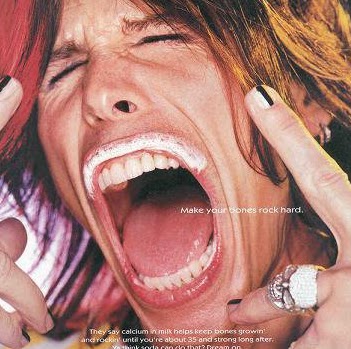 Steven Tyler Photo 10
