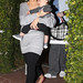 Max Segal Photo 33