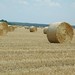 Vincent Summers Photo 24