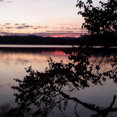Judy Scruggs Photo 9