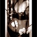 Kelly Ware Photo 36