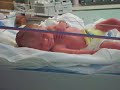 Ryan Born Photo 30