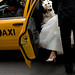 Sharon Schuster Photo 27
