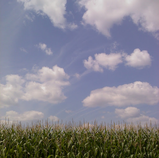 Scott Hanson Photo 17