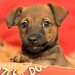 Charlie Russell Photo 37