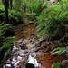 Mark Worms Photo 15