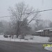 Darlene Blake Photo 32