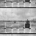 Philip Todd Photo 38