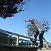 Justin Blunt Photo 33