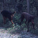 Rita Crowder Photo 27