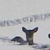 Michael Keener Photo 4