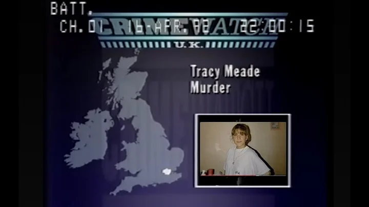 Tracy Meade Photo 24