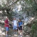 Lee Rubinstein Photo 24
