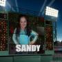 Sandy Arce Photo 19