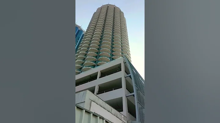 Donna Towers Photo 14