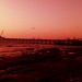 S Swaminathan Photo 24