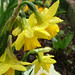Deborah Rains Photo 24