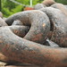 Joanne Rust Photo 16