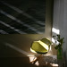 Patricia Eames Photo 18