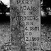 Mary Mcadams Photo 30