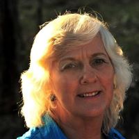 Judy Stevens Photo 3