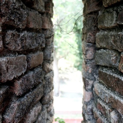 Wayne Simon Photo 9