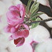 Craig Cochran Photo 48