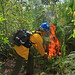 Dennis Dade Photo 11