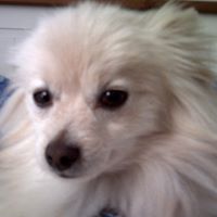 Max Conner Photo 2