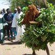 Cherno Jallow Photo 5