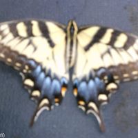 Rick Adkins Photo 1