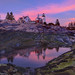 Kevin Maines Photo 19