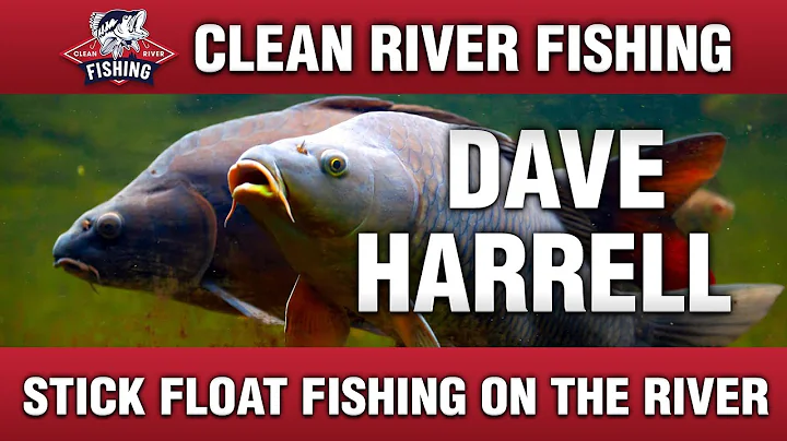 David Harrell Photo 50